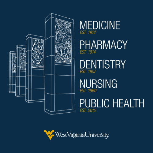 Gildan Heavy Cotton Longsleeve Basic T-Shirt -- Navy