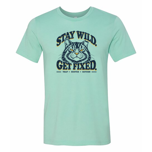 Bella Canvas Unisex Heather CVC T-Shirt -- Heather Mint