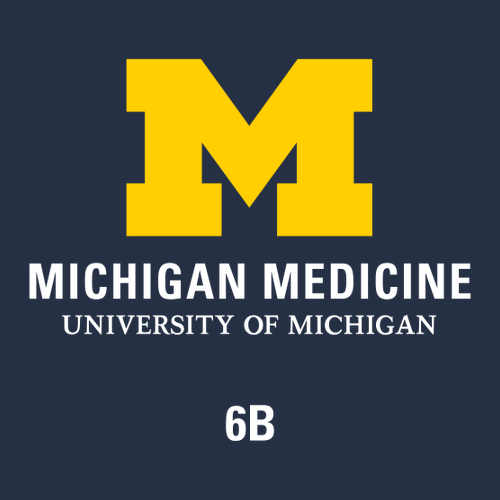 Gildan Heavy Cotton Basic T-Shirt -- Navy