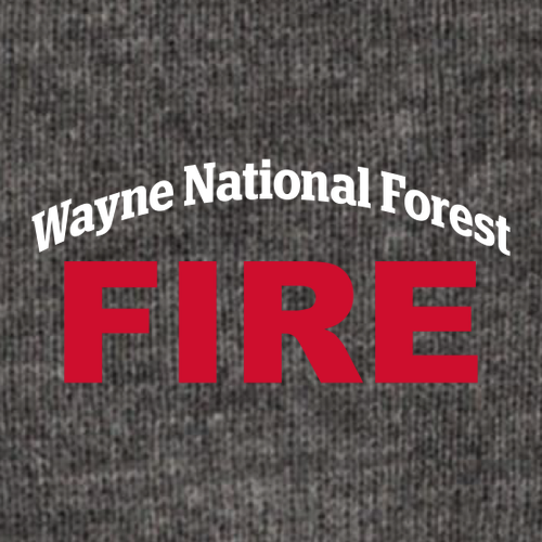 Carhartt Watch Hat 2.0 -- Coal Heather -- Embroidered