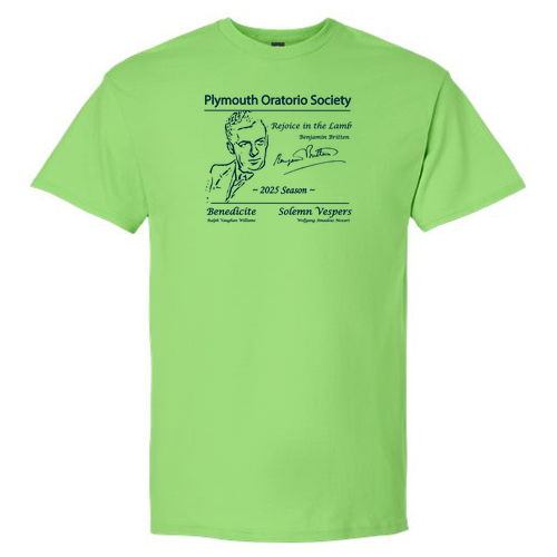 Gildan Ultra Cotton Basic T-Shirt -- Lime