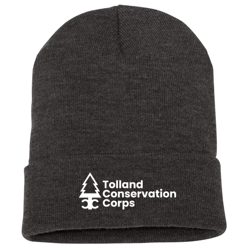 Yupoong Knit Hat with Cuff -- Dark Grey