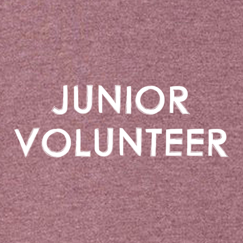 Gildan Heavy Blend Hooded Sweatshirt -- Heather Sport Dark Maroon