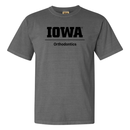 Comfort Colors Ringspun Garment Dyed T Shirt -- Grey