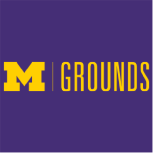 Ladies Gildan Ultra Cotton Basic T-Shirt -- Purple, $10