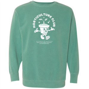 Men/Unisex Comfort Colors Crewneck Sweatshirt -- Seafoam