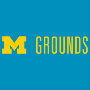 Ladies Gildan Ultra Cotton Basic T-Shirt -- Sapphire, $10