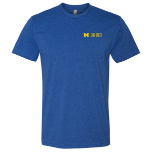 Men/Unisex Next Level Soft Fitted CVC Tee -- Royal, $12