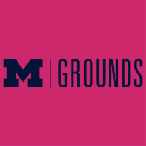 Ladies Gildan Ultra Cotton Basic T-Shirt -- Heliconia, $10