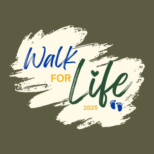 Gildan Adult Softstyle Long Sleeve T Shirt -- Military Green