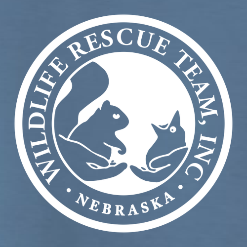 Gildan Heavy Cotton Longsleeve Basic T-Shirt -- Indigo Blue