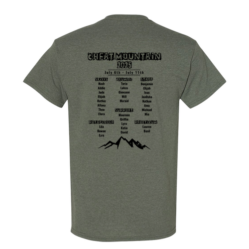 Gildan Heavy Cotton Basic T-Shirt -- Heather Military Green