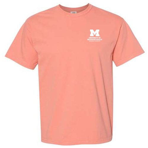 Mens/Unisex Comfort Colors Heavyweight T-Shirt -- Terracotta
