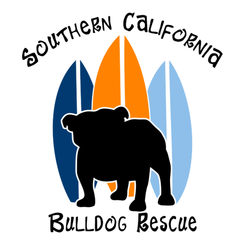 Comfort Colors Adult Long Sleeve Pocket Tee -- White