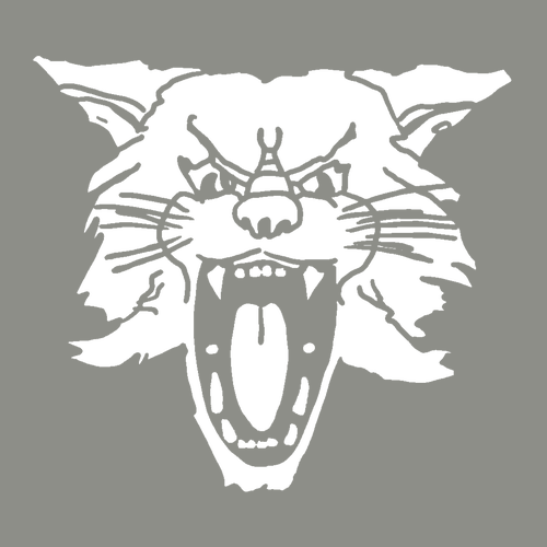 Comfort Colors Heavyweight Adult T-Shirt -- Grey