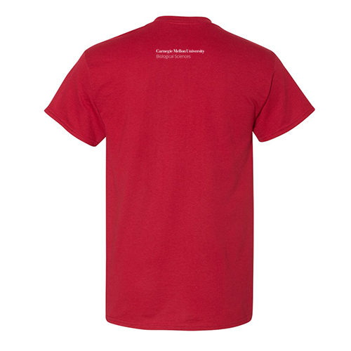Gildan DryBlend 50/50 T-Shirt -- Sport Scarlet Red