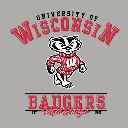 Gildan Heavy Cotton Longsleeve Basic T-Shirt -- Ash