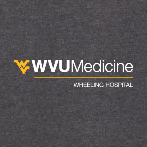 Charles River Womens Heathered Fleece Pullover -- Charcoal Heather