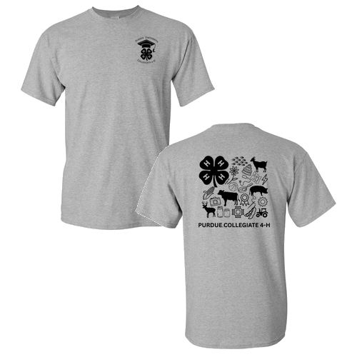 Gildan Heavy Cotton Sport Grey T-Shirt