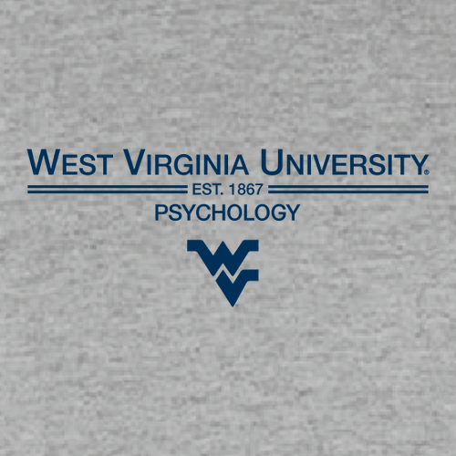 Gildan Heavy Blend Hooded Sweatshirt -- Sport Grey