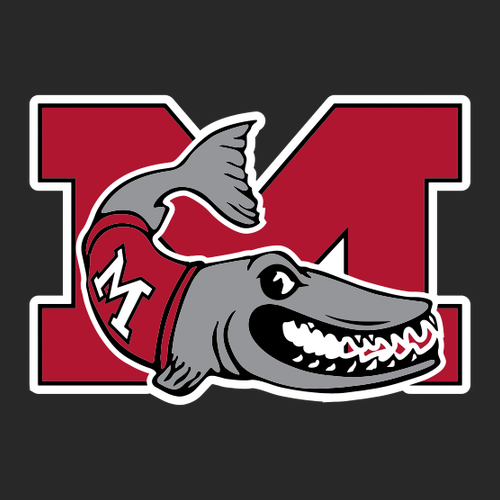 Champion Long Mesh Shorts With Pockets -- Black