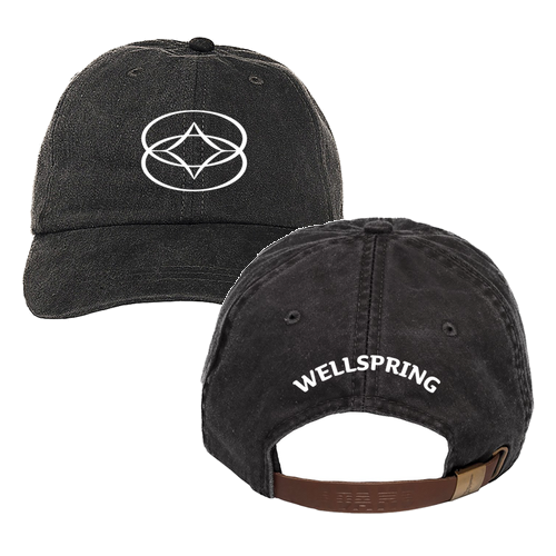 Embroidered Adams 6 Panel Washed Pigment Dyed Hat -- Black