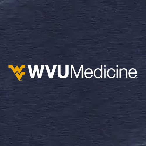 Charles River Womens Heathered Fleece Pullover -- Navy Heather