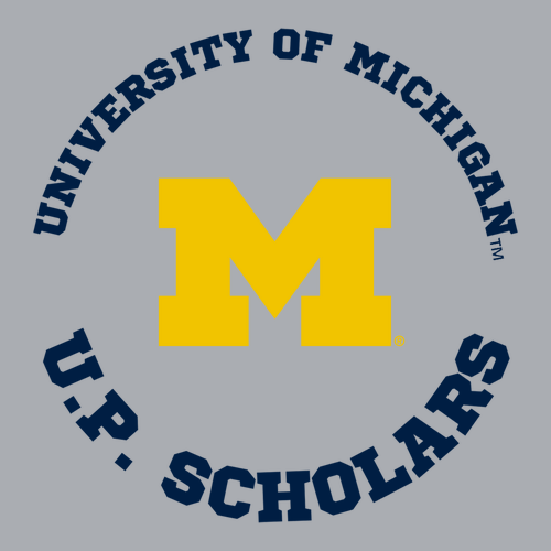 Champion Reverse Weave Crewneck Sweatshirt -- Silver Grey