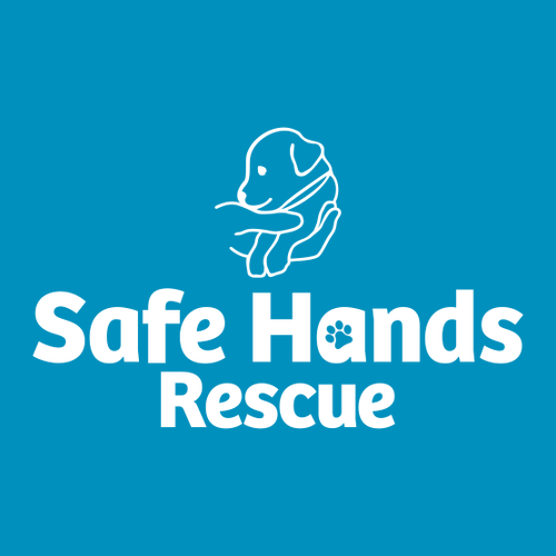 Gildan Heavy Blend Hooded Sweatshirt -- Sapphire