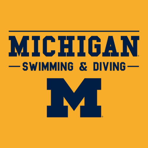 Ladies District Womens Re-Tee V-Neck -- Maize Yellow