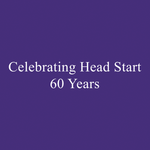 Gildan Ultra Cotton Basic T-Shirt -- Purple