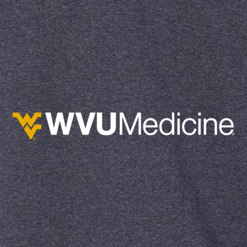 Charles River Mens Heathered Fleece Pullover -- Navy Heather