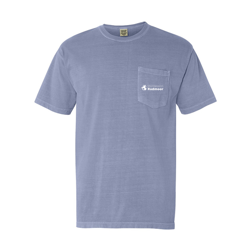 Comfort Colors Adult Short Sleeve Pocket Tee -- Ice Blue