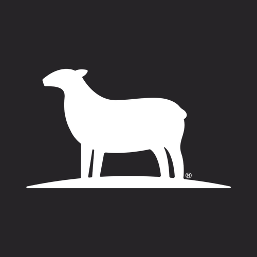 Discontinued The North Face Truckstop Beanie -- TNF Black