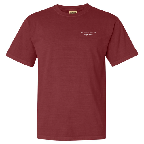 Comfort Colors Ringspun Garment Dyed T Shirt -- Brick