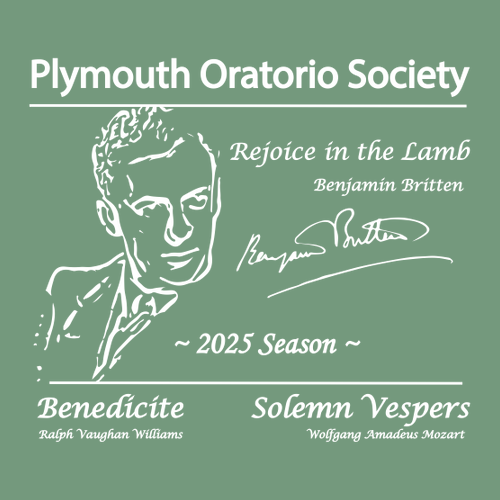 Jerzees 8 oz 50/50 Nublend Adult Hooded Sweatshirt -- Sage