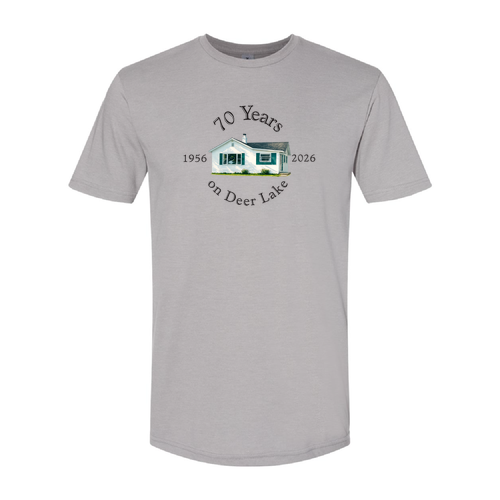 Gildan CVC Adult T-Shirt -- Cement