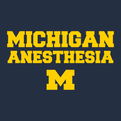 Hanes Beefy T Longsleeve T-Shirt -- Navy