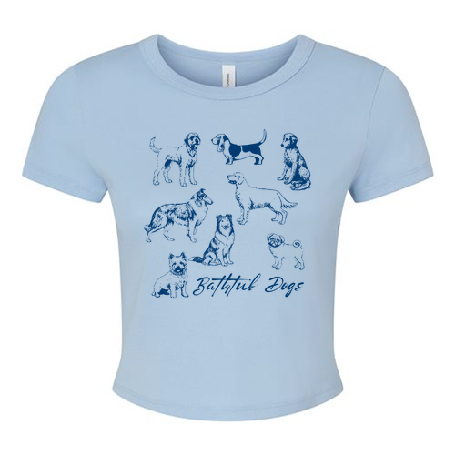 Bella+Canvas Women's Micro Rib Baby Tee -- Solid Baby Blue Blend