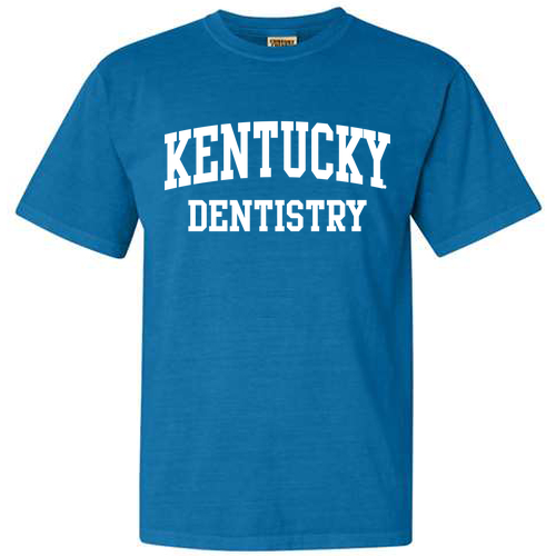 Comfort Colors Ringspun Garment Dyed T Shirt -- Royal Caribe