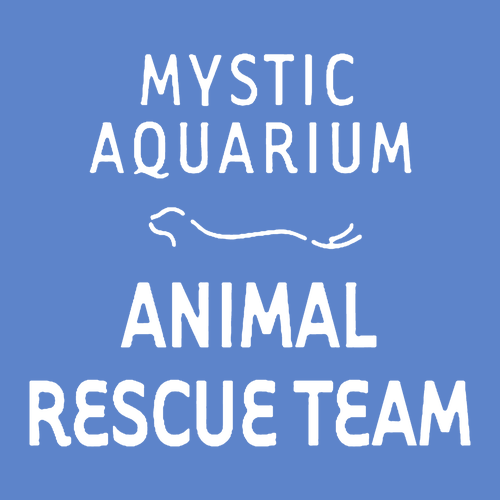 Mystic Aquarium Animal Rescue Program T-Shirt (Iris)
