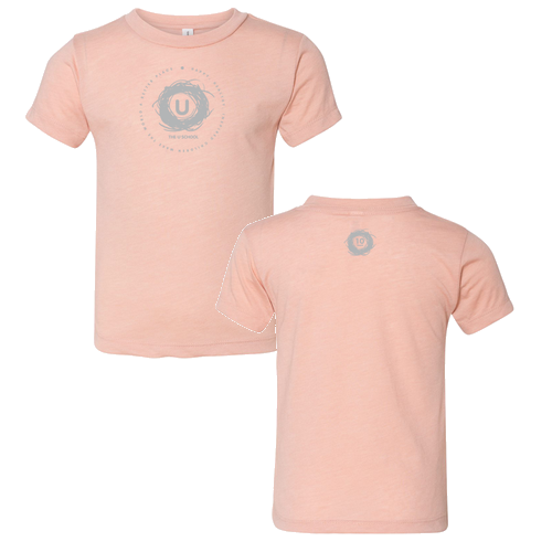 Toddler Bella Canvas Triblend Short Sleeve Tee -- Peach