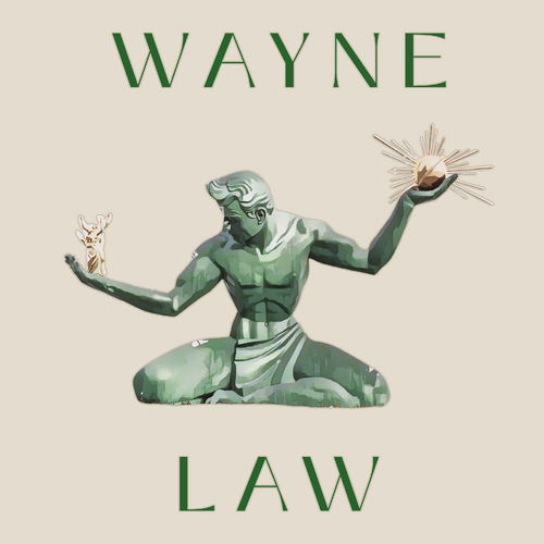 Gildan Heavy Cotton Basic T-Shirt -- Natural