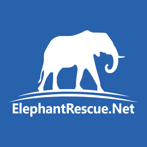 Gildan Heavy Cotton Longsleeve Basic T-Shirt -- Royal