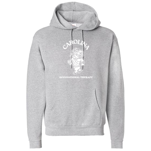 Hanes Unisex EcoSmart Hooded Sweatshirt -- Light Steel