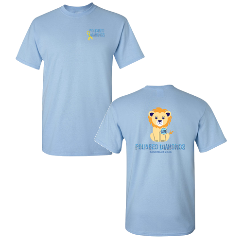 Gildan Heavy Cotton Basic T-Shirt -- Light Blue