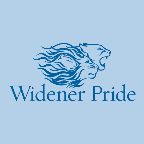 Hanes EcoSmart 50/50 T-Shirt -- Light Blue