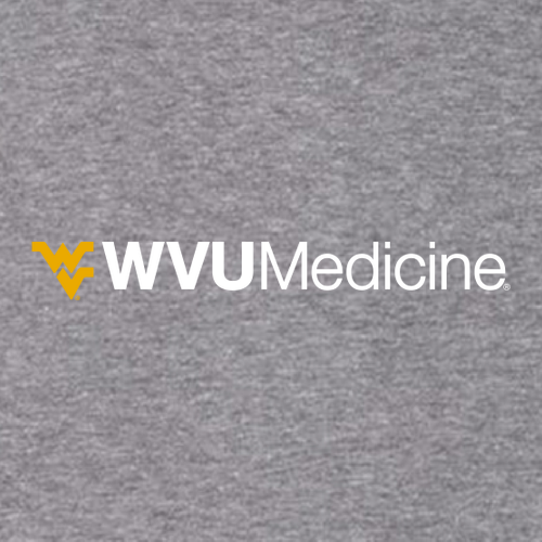 Gildan Heavy Cotton Longsleeve Basic T-Shirt -- Graphite Heather