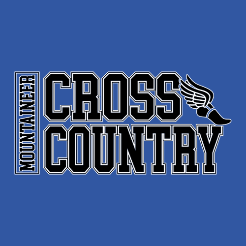 Gildan Heavy Cotton Basic T-Shirt -- Royal