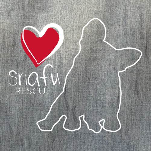 District Made Mens Perfect Tri Raglan -- Grey Frost / Navy Frost